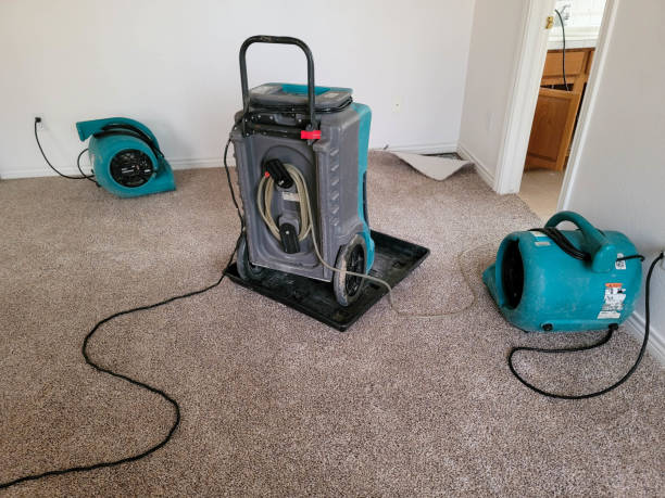 Best Professional water damage repair  in West Blocton, AL
