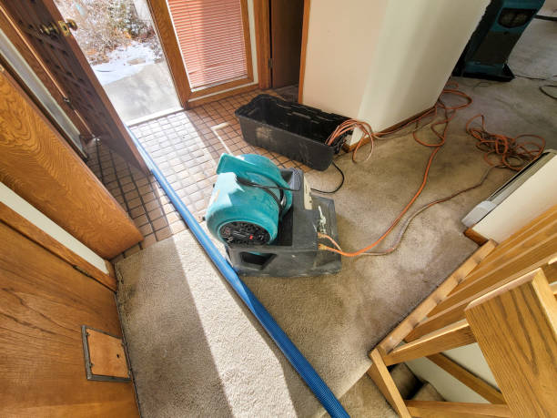 Best 24/7 water damage repair  in West Blocton, AL