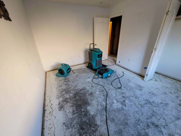 Best Water damage restoration near me  in West Blocton, AL