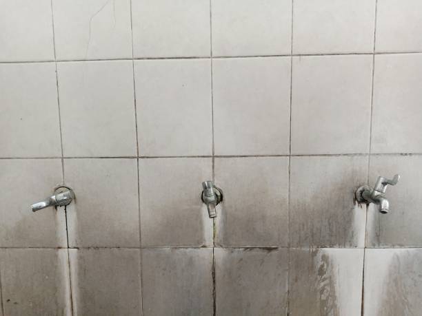 Best Flood restoration services  in West Blocton, AL
