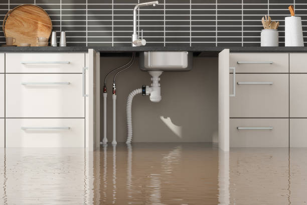 Best Sewage cleanup and water damage restoration  in West Blocton, AL