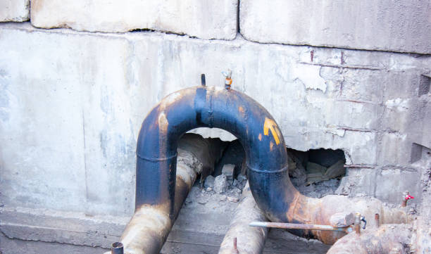 Best Professional water damage repair  in West Blocton, AL