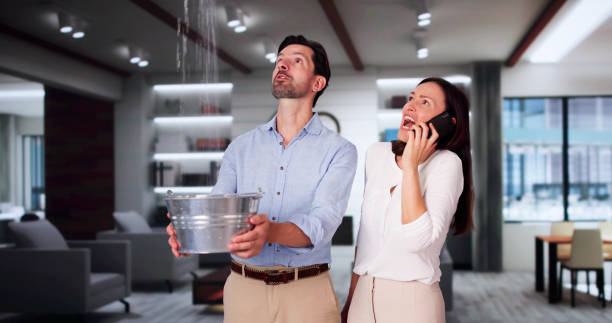 Best Sewage cleanup and water damage restoration  in West Blocton, AL