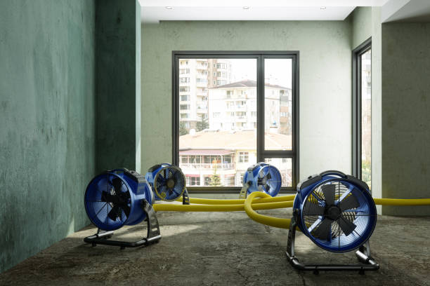 Best Water damage restoration near me  in West Blocton, AL