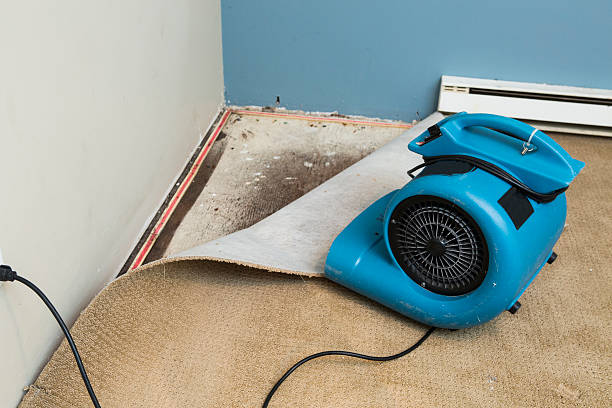 Best Water damage restoration services  in West Blocton, AL